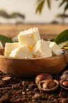 Shea Butter : The Expertise Behind "Women’s Gold"